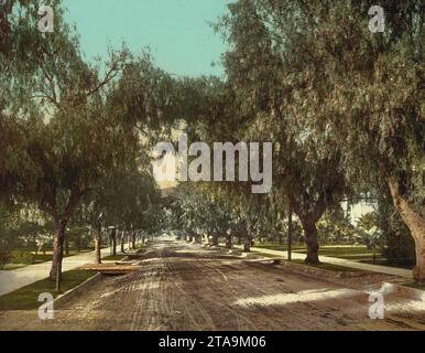 Marengo Avenue, Pasadena, Kalifornien 1898. Stockfoto