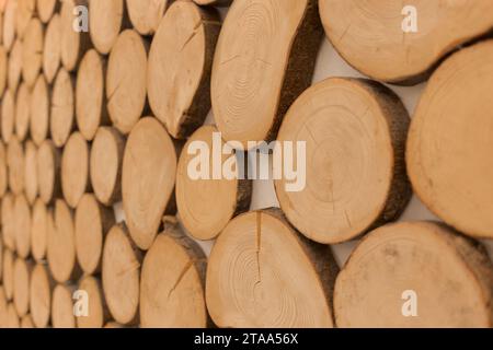 Holz rund jährliche hölzerne Ringe, Holzbäume Holz Innendekoration Wand Wald Hintergrund Holz. Stockfoto