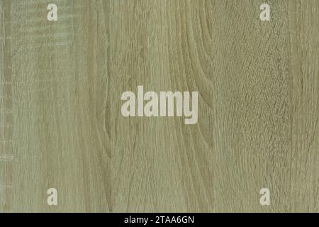 Holzbretttextur in grüner Farbe Hintergrundplankenmuster. Stockfoto