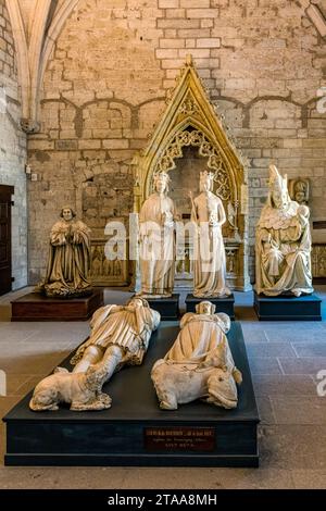 Statuen im Palast der Päpste, Avignon, Vaucluse, Frankreich Stockfoto