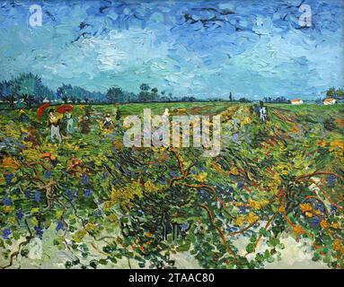 Vincent Van Gogh - The Green Vineyard (1888). Stockfoto