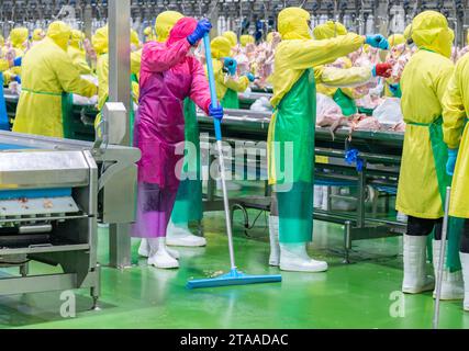 Hygienearbeiter tragen eine einheitliche Reinigung der Schutzkleidung mit einem Mopp, um Wasser aus dem Epoxidboden in der Produktionslinie zu entfernen. Stockfoto