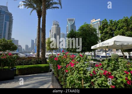 Der Dubai Marina District bietet einen futuristischen gehobenen Lebensstil, Dubai VAE Stockfoto