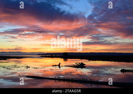 Rosa- und Gelbtöne über der Skagit Bay bei Sonnenuntergang mit Reflexion im Wasser Stockfoto