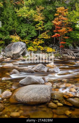 Die Rocky Gorge Scenic Area, der Kancamagus Highway, der White Mountain National Forest, New Hampshire Stockfoto