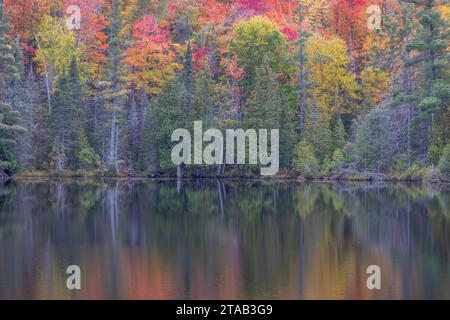 Herbstlaub spiegelt sich in einem Teich in Michigamme Township, Marquette County, Michigan Stockfoto