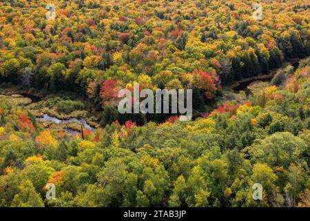 Herbstfarben aus dem Lake of the Clouds Scenic Area, Porcupine Mountains Wilderness State Park, Michigan Stockfoto