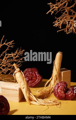 Werbeszenen für traditionelle chinesische Arzneimittel mit seltenen Kräuterzutaten. Auf schwarzem Hintergrund, frische Ginsengwurzeln und Lingzhi-Pilze d Stockfoto