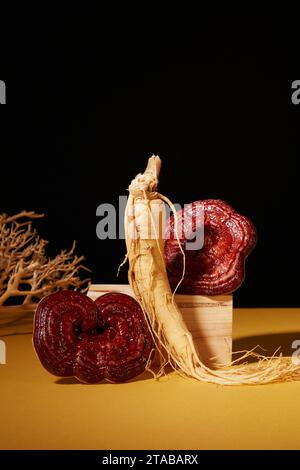 Seltene Kräuter auf schwarzem Hintergrund. Frische Ginsengwurzel und Lingzhi-Pilze auf Holzpodesten und trockener Zweig dekoriert. Vorderansicht, Fotografie t Stockfoto