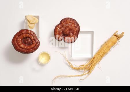 Werbeszene mit seltener Medizin - Lingzhi-Pilze und Ginseng-Wurzel auf weißem Hintergrund mit Glaspodien dargestellt. Ginseng und Ganoderma sind es Stockfoto