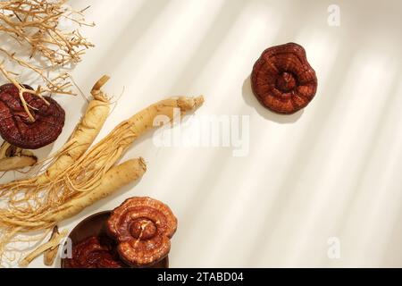 Blick von oben auf Lingzhi-Pilze und Ginseng-Wurzeln auf weißem Hintergrund. Leerzeichen für die Präsentation. Szene für Arzneimittelwerbung, Stockfoto