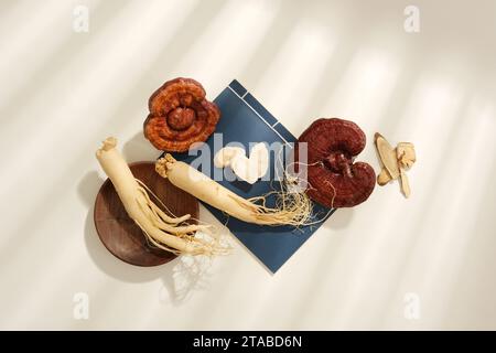 Frische Ginsengwurzeln und Lingzhi-Pilze, verziert mit Holzschale und blauem Notizbuch auf weißem Hintergrund. Draufsicht, flache Lage und Schatten des Fensters. Stockfoto