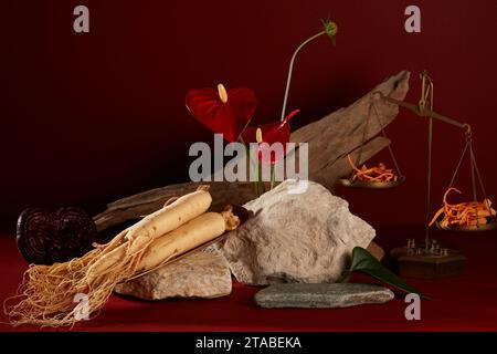 Abstrakter Hintergrund für Branding und minimale Präsentation mit seltenen Heilkräutern. Ginseng-Wurzel, Cordyceps und Lingzhi-Pilze mit Stein dekoriert Stockfoto