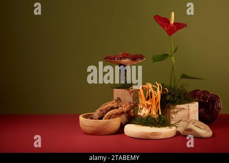 Vorderansicht von Cordyceps, roten Ginseng-Wurzeln und Lingzhi-Pilz auf hölzernen Podesten mit grünem Moos und roter Blume. Dunkelgrüner Hintergrund mit Stockfoto