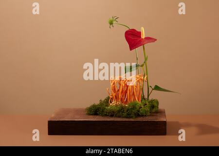 Szene zur Werbung für pflanzliche Arzneimittel mit minimalem Konzept. Cordyceps, grünes Moos und rote Blume auf hölzernen Podesten auf braunem Backgrou Stockfoto