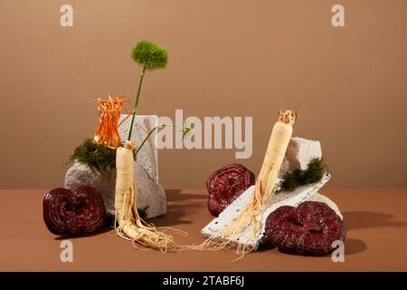 Kreativszene für Werbemittel aus der traditionellen Medizin. Ginseng-Wurzeln und Lingzhi-Pilze, dekoriert mit Cordyceps und Steinen Stockfoto