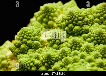 Detailaufnahme eines Romesco-Blumenkohls mit fraktalen Spitzen, Kopierraum Stockfoto