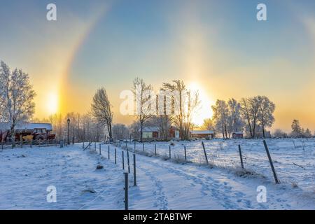 Sonnenhunde in einer winterlichen Landschaft Stockfoto