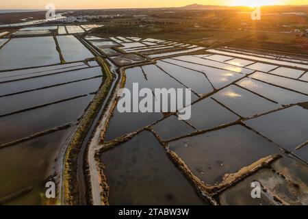 Salzwiesen an der Lagune Ria Formosa in Tavira, Algarve, Portugal Stockfoto