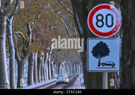 30. November 2023, Brandenburg, Petersdorf: Ein Auto fährt auf einer schneebedeckten Allee im oder-Spree-Bezirk im Osten Brandenburgs. Auch in Berlin und Brandenburg kann man am Donnerstag mit Frost und der Gefahr von Eiswetter rechnen. Im Süden Brandenburgs kann es tagsüber teilweise frostfrei sein, im Rest des Landes und in Berlin ist nach Angaben des Deutschen Wetterdienstes mit leichtem Permafrost zu rechnen. Achtung: Rutschgefahr durch eiskalten Regen. Die Temperaturen erreichen tagsüber zwischen -2 und 0 Grad, wobei in Süd-B bis zu 1 Grad plus möglich ist Stockfoto