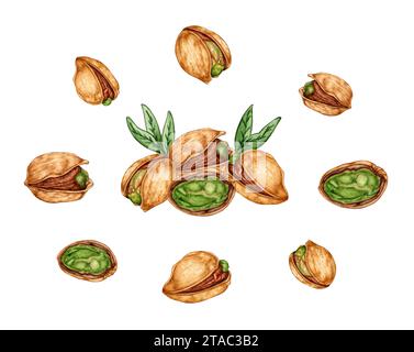 Aquarellillustration Set reifer Pistazien. Gesundes Essen, Picknick-Snacks, Festival, Oktoberfest. Isoliert auf weißem Hintergrund. Ideales Essenskonzept Stockfoto