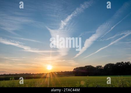 Das Bild fängt einen majestätischen Sonnenuntergang über einem grünen Feld ein, wo die Sonne den Horizont küsst und Lichtstrahlen über den Himmel sendet. Die dramatischen Wolken sind in die blaue Weite eingeätzt und bilden Muster, die das Auge in Richtung der leuchtenden Kugel zu führen scheinen. Das Feld im Vordergrund, das im sterbenden Licht der Sonne getaucht ist, verleiht der Szene Tiefe und Kontrast und lädt die Beobachter ein, sich im großen Finale des Tages zu sonnen. Sunset Symphony: Der Tanz des Lichts und der Wolken. Hochwertige Fotos Stockfoto