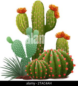 Vektorillustration verschiedener Kaktuszusammensetzung mit Blumen Stock Vektor