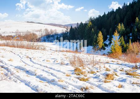 Berglandschaft im Winter. Waldhügel und schneebedeckte Wiesen an einem sonnigen Tag. Dorf in der Ferne Stockfoto