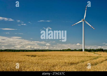 Windturbinen auf dem Weizenfeld in der Nähe des Dorfes Koniecwałd bei Sztum, Pomorskie, Polen Stockfoto