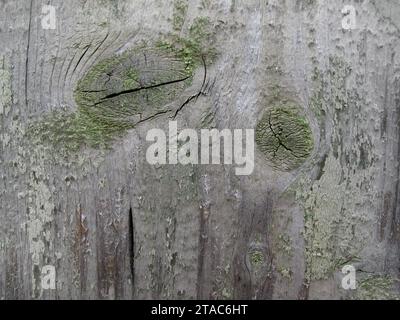 Textur sehr alte verwitterte Holz Stockfoto