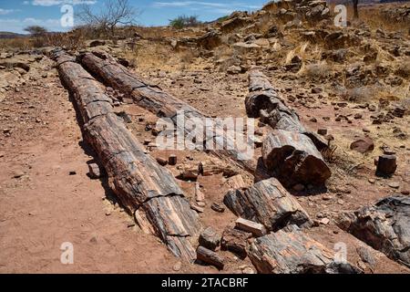 Drei Stufen Versteinerter Wald, Versteinerter Wald, Damaraland, Namibia, Afrika Stockfoto