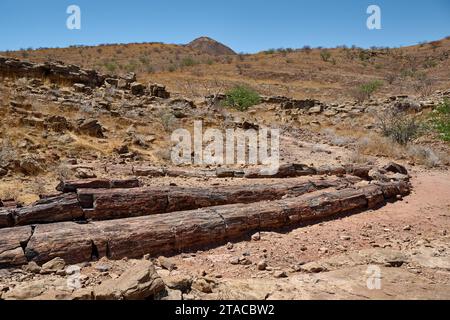 Drei Stufen Versteinerter Wald, Versteinerter Wald, Damaraland, Namibia, Afrika Stockfoto