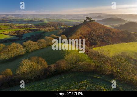 Aus der Vogelperspektive auf Colmer's Hill bei Sonnenaufgang an einem sonnigen Wintermorgen, Symondsbury, Dorset, England. Winter (Januar) 2022. Stockfoto