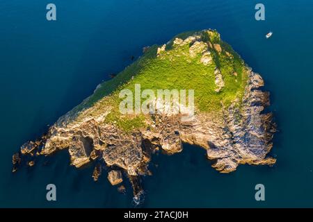 Aus der Vogelperspektive der Insel Thatcher Rock vor der Küste von Torquay, Devon, England. Winter (Februar) 2022. Stockfoto