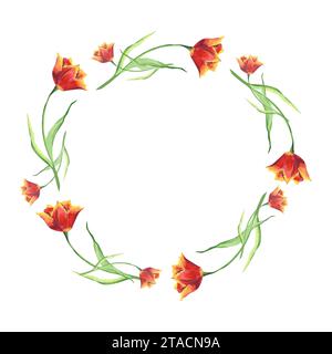 Blumenkranz in Aquarellfarben mit roten Tulpen. Kreisförmiger Rahmen für Einladungen oder Grußkarten auf weißem, isoliertem Hintergrund. Design zum Muttertag, Damen Stockfoto