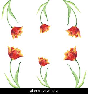 Vorlage für Rahmen mit roten Tulpen und grünen Blättern. Handgezeichnete Aquarellillustration mit bunten Frühlingsblumen für Grußkarten oder Einladungen Stockfoto