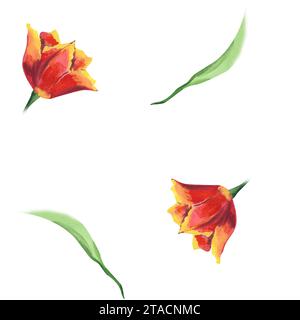 Aquarellrote Tulpenknospen und grüne Blätter nahtloses Muster. Handgezeichnete Illustration mit bunten Frühlingsblumen für Textildesign oder Geschenkpapier Stockfoto
