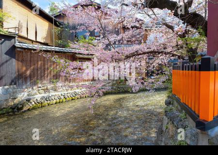 Kyoto, Japan - 2. April 2023: Shinbashi dori ist der Ort, an dem Gion-Ochaya Teehäuser nebeneinander auf der Straße stehen, verbunden mit dem Betrieb von Shir Stockfoto