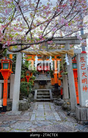 Kyoto, Japan - 6. April 2023: Tatsumi Daimyojin-Schrein in der Nähe der Tatsumu-Bashi-Brücke im Stadtteil Gion Stockfoto