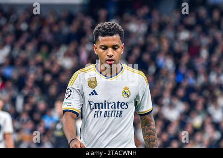 MADRID, SPANIEN - 29. NOVEMBER: Rodrygo von Real Madrid CF Focus während des Spiels zwischen Real Madrid CF und SSC Napoles der UEFA Champions League am 29. November 2023 in Santiago Bernabeu in Madrid. (Samuel Carreño/Pximages) Credit: Px Images/Alamy Live News Stockfoto