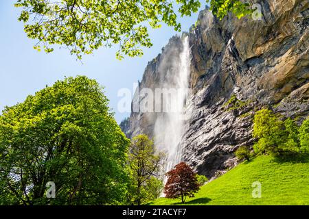 Blick auf den Staubbach Wasserfall in Lauterbrunnen, Schweiz Stockfoto