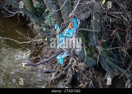 Blus Plastikmüll, der in einem Baum gefangen wurde, der nach einer Überschwemmung über einem Bach hängt. Stockfoto