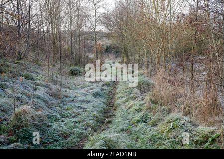 Kurviger Pfad oder Pfad, der an einem kalten und frostigen Morgen durch einen Bereich von Bäumen in die Ferne führt. Stockfoto