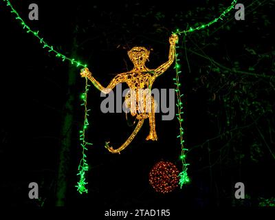 Ein festlicher Weihnachtsbaum steht mit grünen Lichtern beleuchtet, mit einer roten Kugel dekoriert und in einem Raum Stockfoto