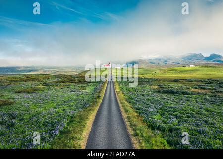 Wunderschöne heilige Ingjaldsholskirkja Kirche mit Nebel auf dem Hügel, Lupinen-Wildblumen blühen und Straße gerade im Sommer auf der Snaefellsnes Halbinsel, Island Stockfoto