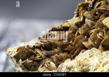 Detaillierte Makroaufnahme, die die einzigartige Zusammensetzung des Piemonte Siderite Minerals erfasst Stockfoto