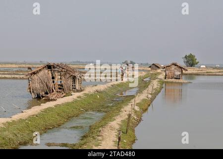 Khulna, Bangladesch - 24. November 2023: Garnelenzucht von oben im Küstengebiet von Koyra bei Khulna. Die meisten Fische in dieser Region sind e Stockfoto