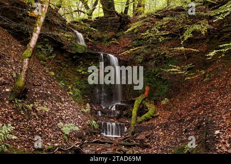 Herbst in Redisher Wood, Ramsbottom Stockfoto