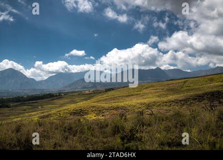 Weitläufige Grasebenen erstrecken sich bis zu fernen Bergen unter einem teilweise bewölkten Himmel und schaffen eine ruhige und weite Landschaft in der Nähe von Mt. Rinjani, Lombok, ID Stockfoto