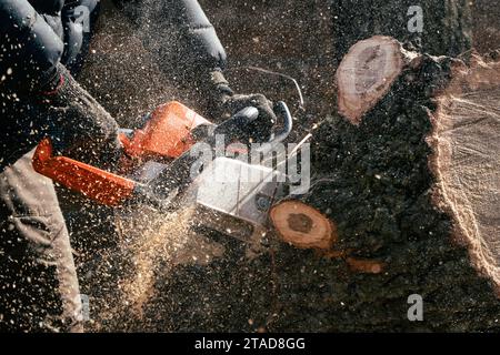 Nahaufnahme eines Mannes, der einen Baum mit einer Kettensäge sägt, mit fliegendem Sägemehl Stockfoto